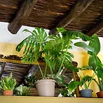 Monart Hospitality Capodimonte Frühstückspension Neapel