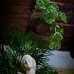 Monart Hospitality Capodimonte Neapel