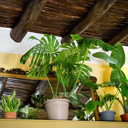 Monart Hospitality Capodimonte Bed & Breakfast Neapel