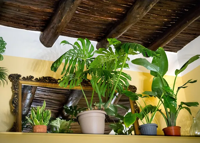 Monart Hospitality Capodimonte Bed & Breakfast Napoli